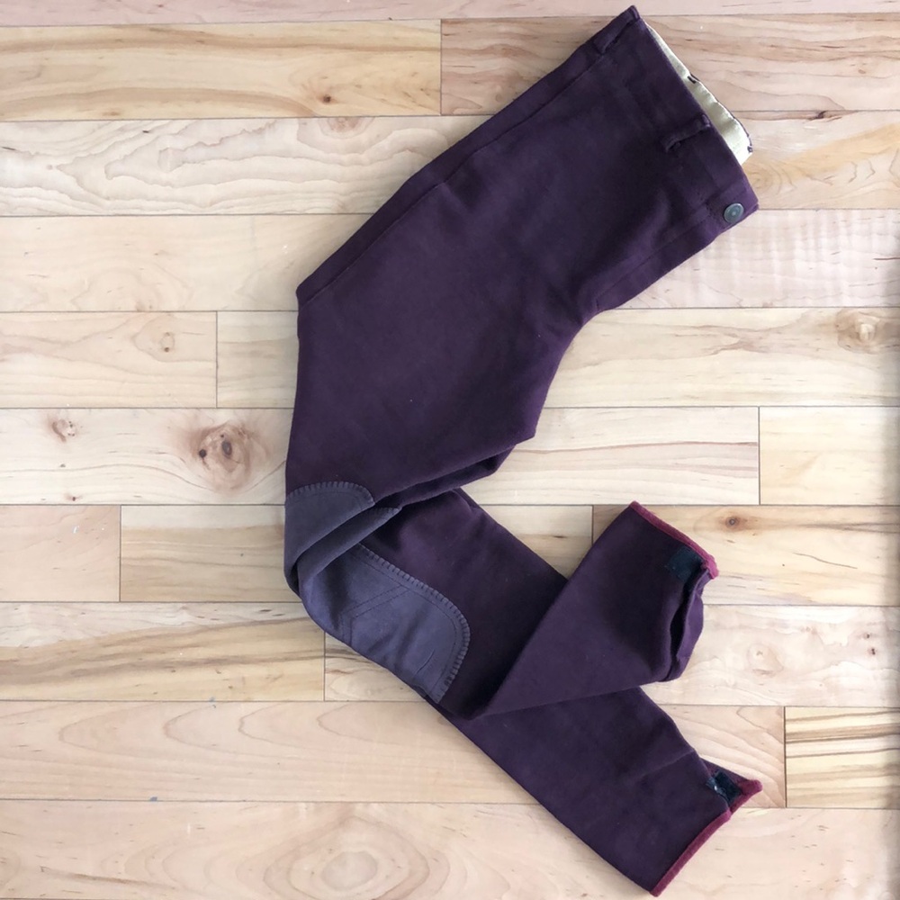 Sigma breeches, dark burgundy wine color